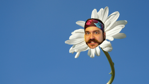 Mikowl